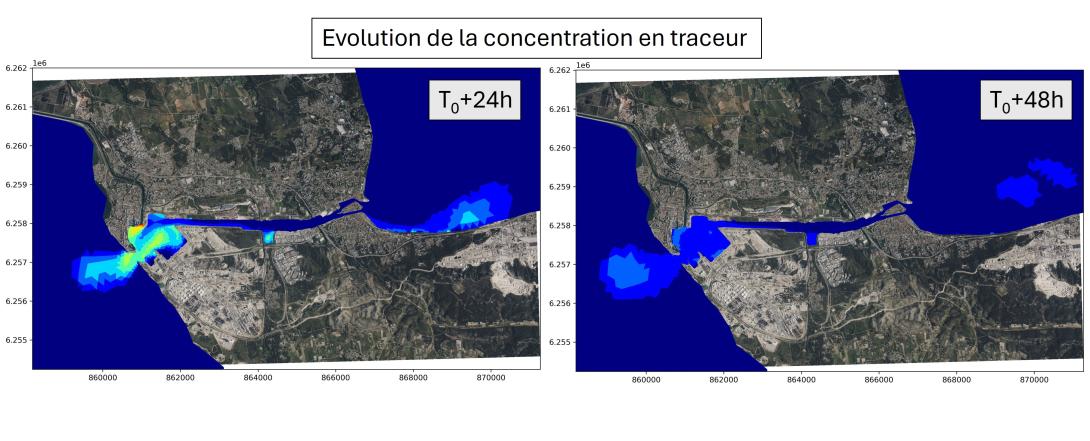 Concentration traceur