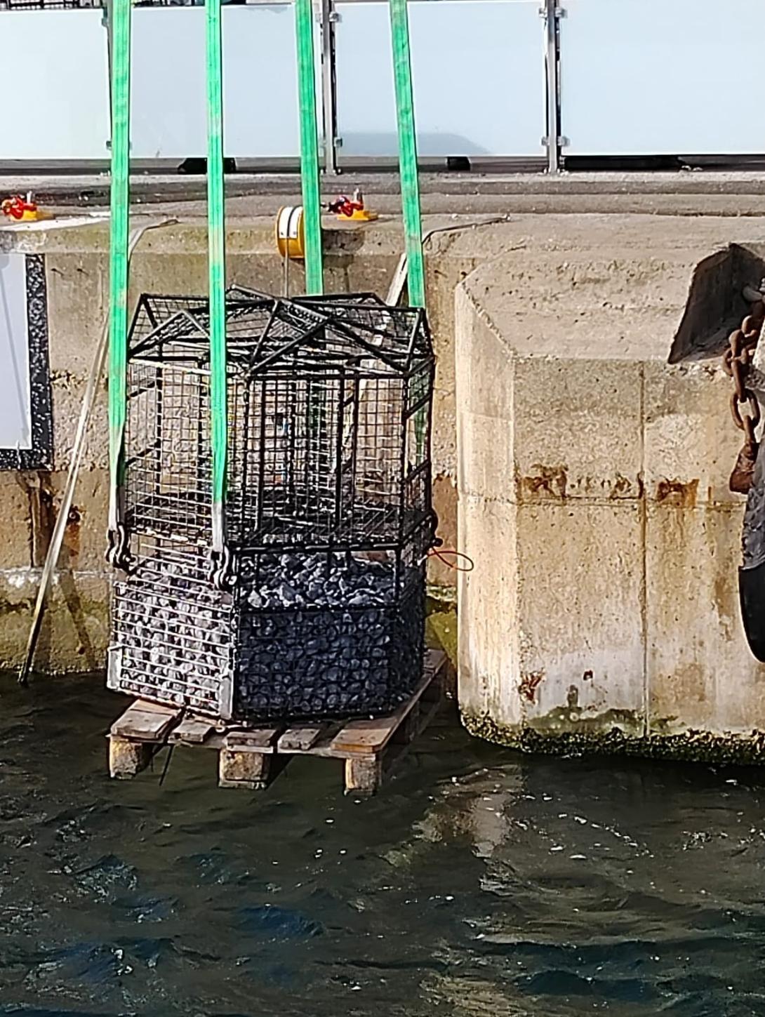 mise à l'eau